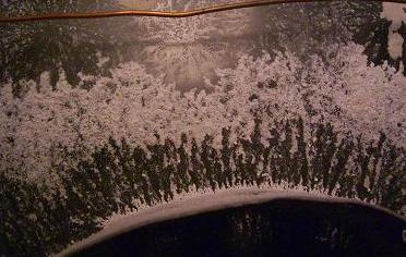 large image of rounded coronal paths